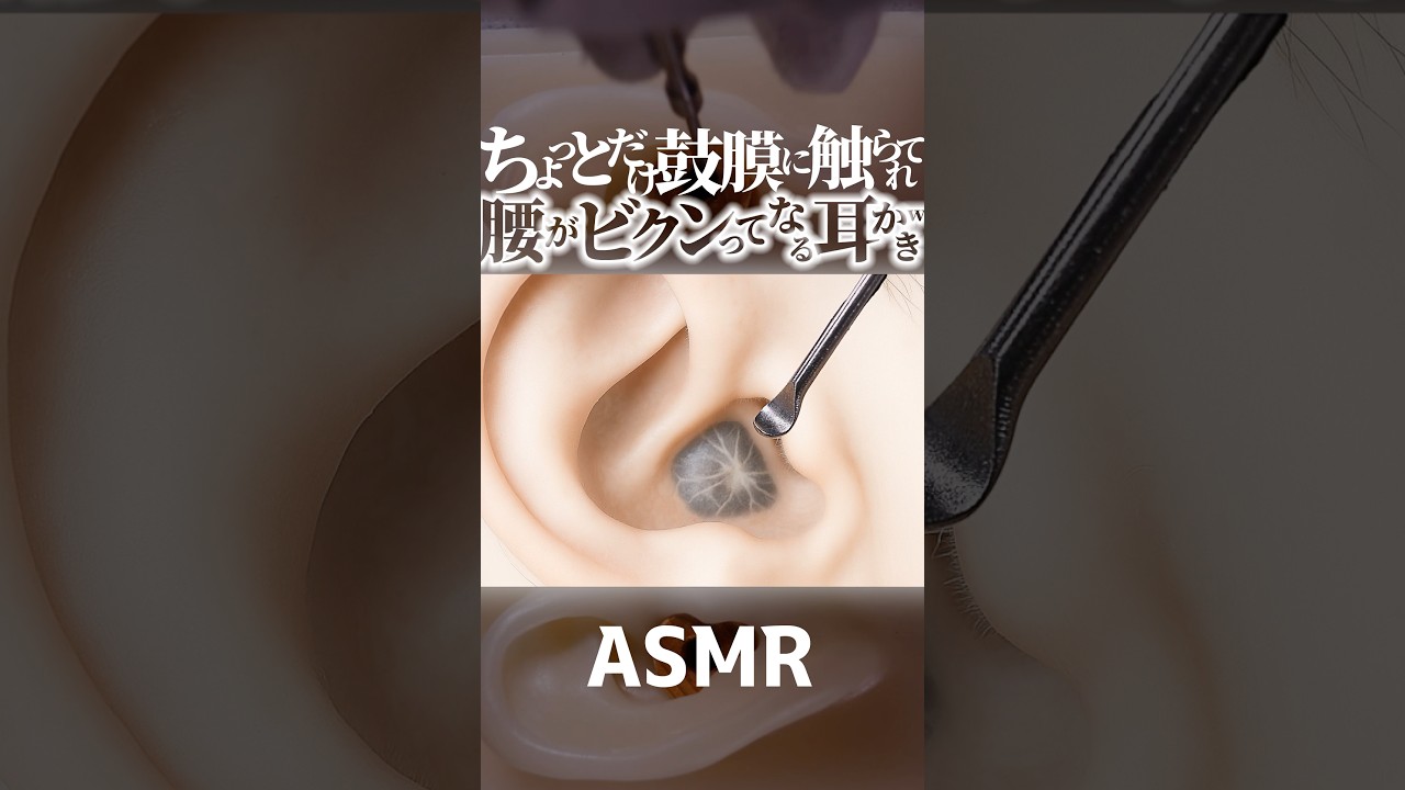 【ASMR】鼓膜がパキって👂腰がビクンってなる耳かきの音😂ちょっとだけ奥の方の鼓膜をステンレス耳かきで触られてゾクゾクしてまう耳掃除🥰1分で寝落ちしちゃう😴片耳交互の高音圧🤤睡眠導入😪 #shorts