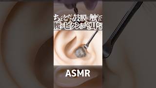 【ASMR】鼓膜がパキって👂腰がビクンってなる耳かきの音😂ちょっとだけ奥の方の鼓膜をステンレス耳かきで触られてゾクゾクしてまう耳掃除🥰1分で寝落ちしちゃう😴片耳交互の高音圧🤤睡眠導入😪 #shorts