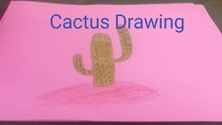 how to draw cactus plant | how to draw a cactus realistic