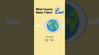Tidal Waves | Spring & Neap Tides