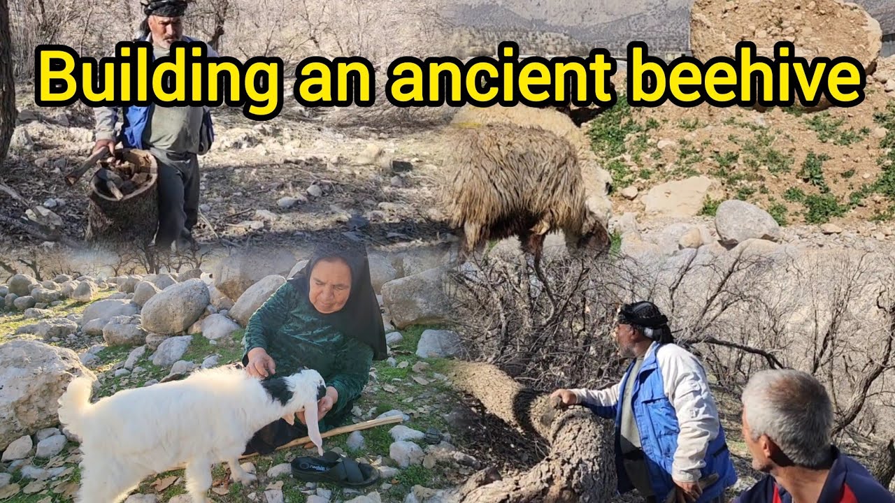 Traditional beehive made from oak tree trunk