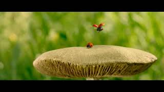 Valley Of The Lost Ants  (END PART)