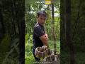 اكتسب الرجل مناعة ضد سم الأفعى Shorts اكتسب الرجل مناعة ضد سم الأفعى Shorts