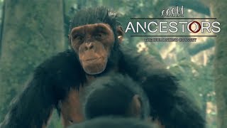 1000万年前のサルから人間目指して頑張るゲーム#01【Ancestors: The Humankind Odyssey】