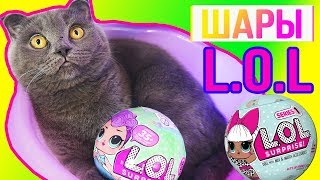 КОТЕНОК БАТТЕРС ОТКРЫВАЕТ ШАР LOL SURPRISE | ПОПАЛСЯ ЗОЛОТОЙ ШАР - В ОДНОМ ШАРЕ ДВЕ КУКОЛКИ! КОТЕНОК БАТТЕРС ОТКРЫВАЕТ ШАР LOL SURPRISE | ПОПАЛСЯ ЗОЛОТОЙ ШАР - В ОДНОМ ШАРЕ ДВЕ КУКОЛКИ!