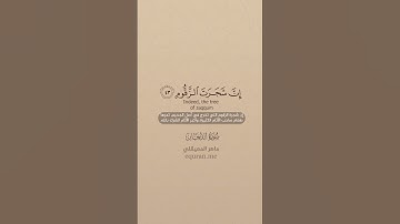 سورة الدخان [ 40 : 50 ] ~ الشيخ ماهر المعيقلي