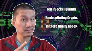 Fed Injects liquidity. Banks piloting Crypto. Is there finally hope?