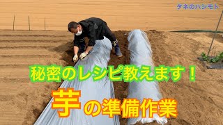 畑の準備はこれで決まり！　サツマイモの肥料の選択・ベットの作り方　　タネのハシモト