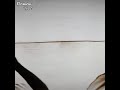 Saudagar Instrumental 