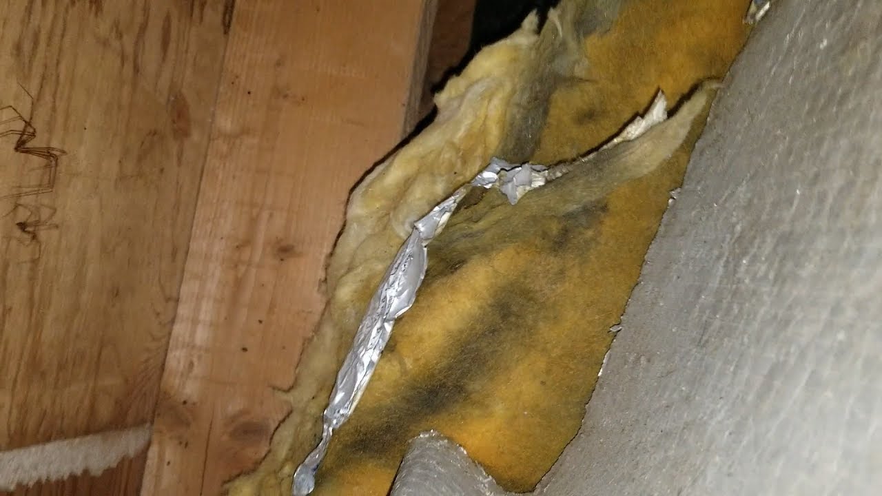 Kitten Trapped In Air Duct YouTube