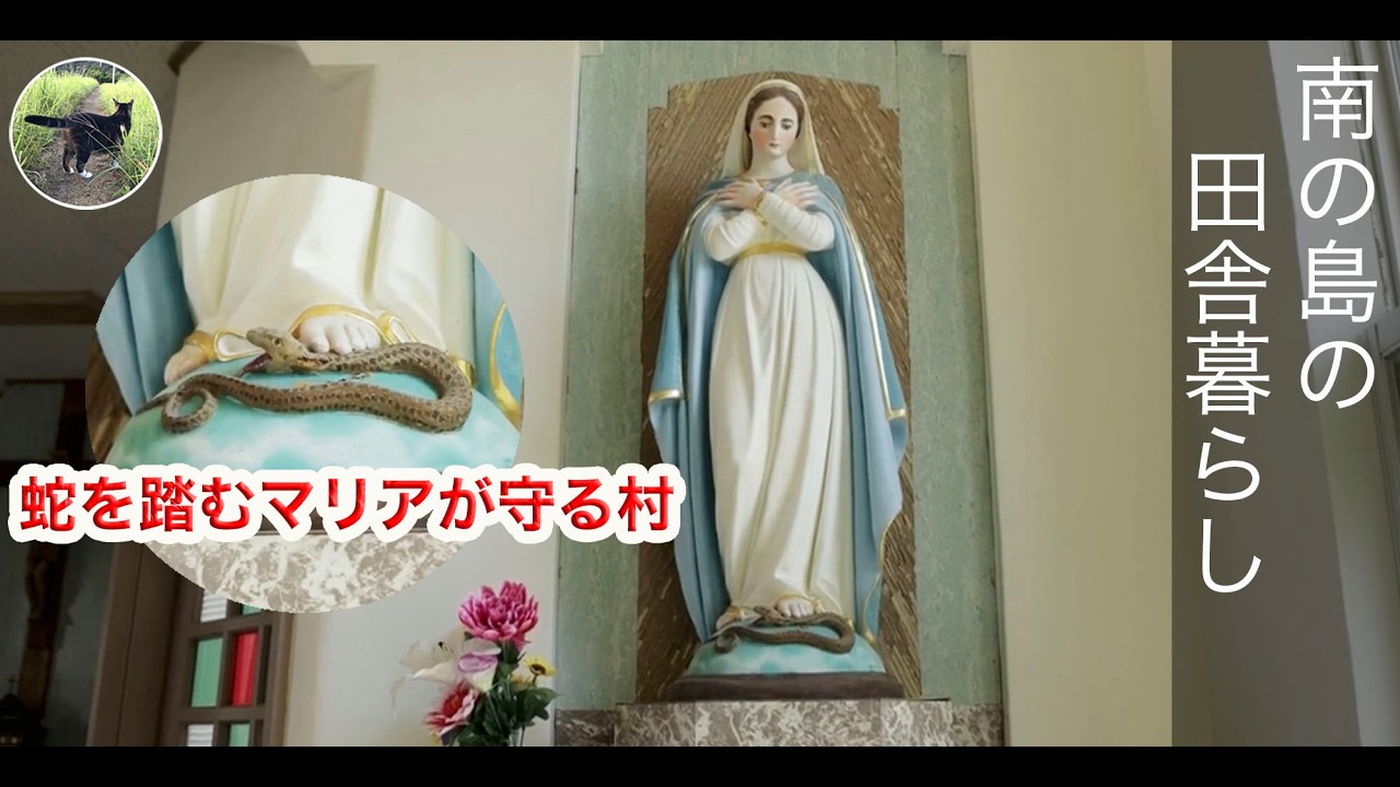 蛇を踏むマリアが守る村、奄美、喜瀬集落の美しい風景。お隣の一屯 ( いっとん )小さな集落と用案（バシャ山リゾート）。移住するならこんな村。