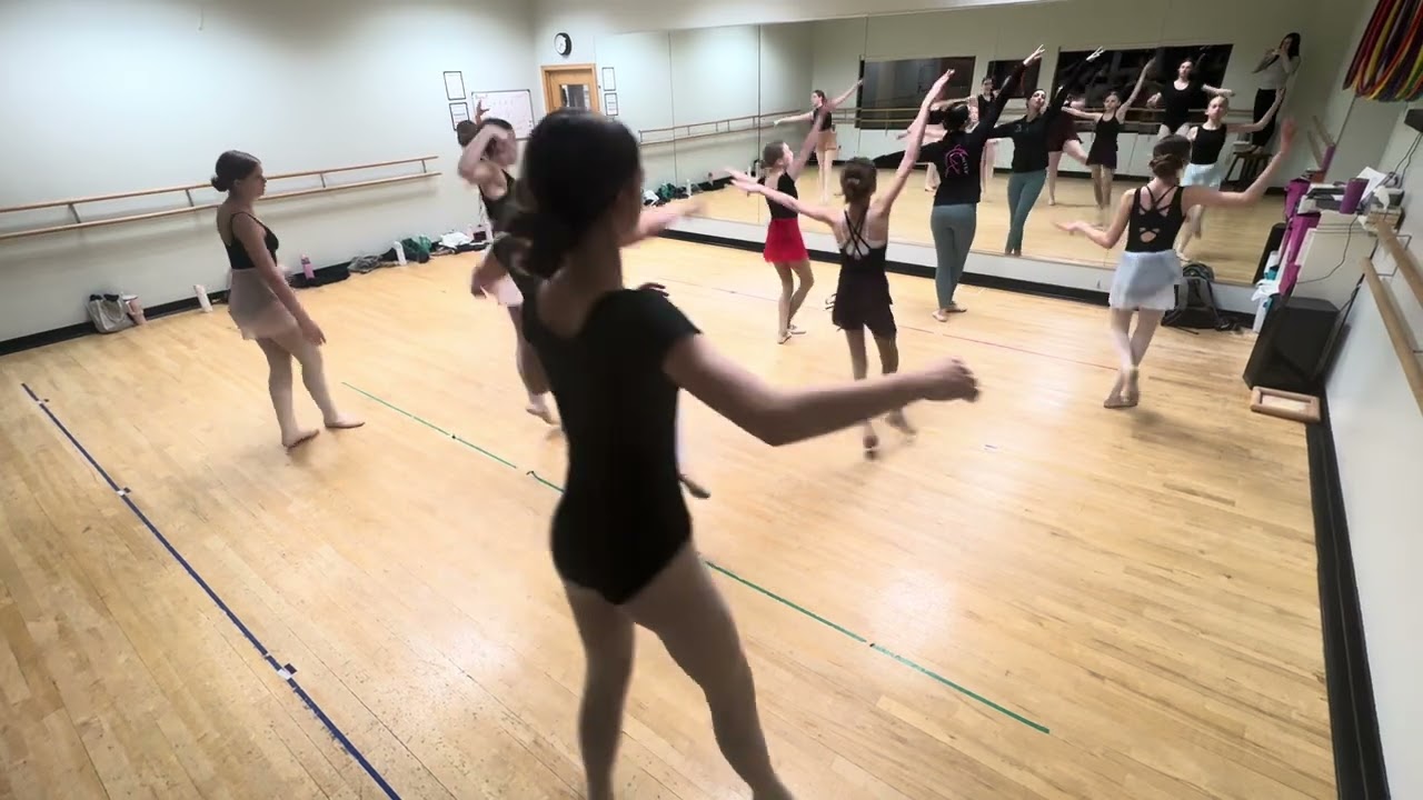 Lvl 3 Ballet -Birds of a Feather 