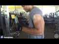 Chest Triceps Workout @hodgetwins