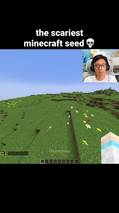 Minecraft Smile Moment