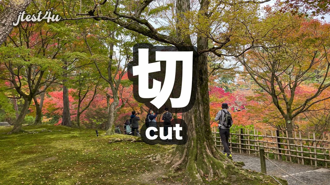 [Video Lesson] JLPT N4 Kanji Lesson #35: 切 (setsu)