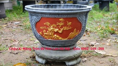 Chậu xi măng tròn f60 nền đỏ Kim Lan Hà Nội