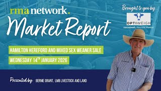Hamilton Hereford and Mixed Sex Weaner Sale - Wednesday 14th January 2026
