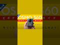 DJI OSMO 360 ビギナーズガイド 初心者向け #dji #osmo360 #360camera