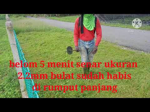 Video: Pemangkas Rumput Mini: Jenis Pemangkas Rumput Genggam Kecil. Memilih Pemangkas Rumput Kompak Untuk Di Bawah Semak-semak