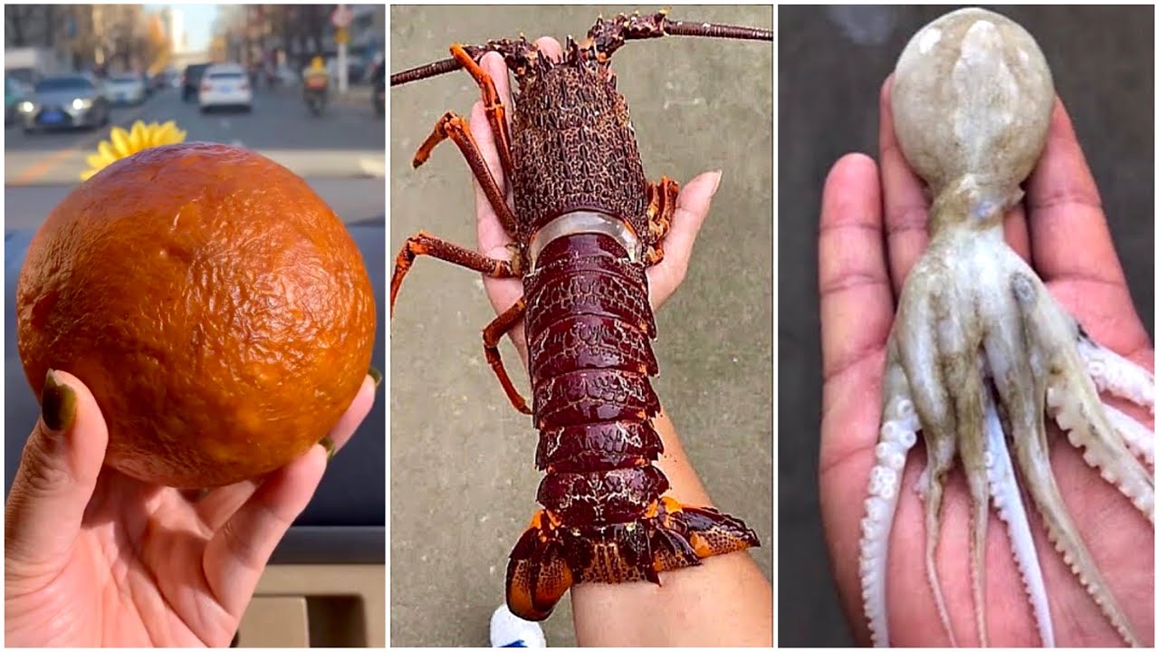 1 đồng mua được gì ? 