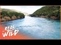 The Incredible River Clutha | Wild River Journeys | Real Wild