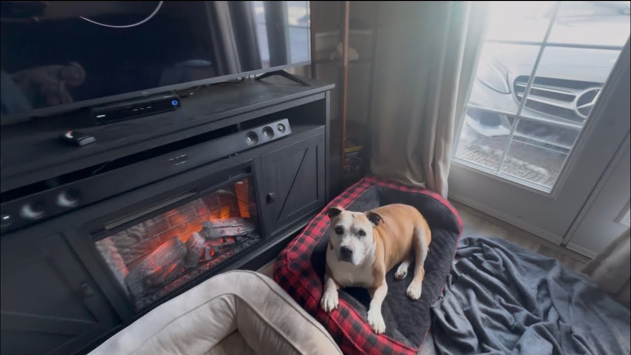 My Dog Ate My…#hotwheels 