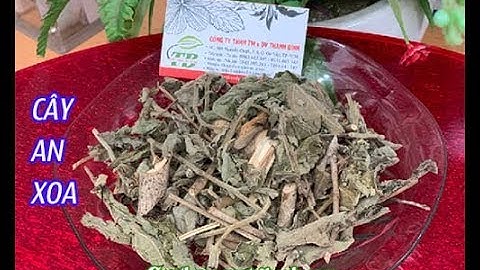 Cây An Xoa| Địa chỉ bán cây an xoa ở đâu tại TPHCM uy tín chất lượng nhất