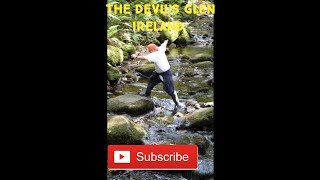 Hike the Devil's Glen - Wicklow's Hidden Forest Waterfall Walk