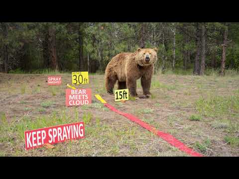 Bear Spray Scenarios & Demonstration 