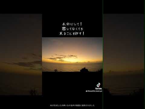 千葉の絶景知ってる？日本を車です旅する看護師が紹介する絶景　#千葉県  #絶景  #癒し  #旅行