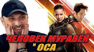 картинка: ЗУБАРЕВ СМОТРИТ «ЧЕЛОВЕК МУРАВЕЙ И ОСА» | ЛУЧШЕЕ С ПРОСМОТРА