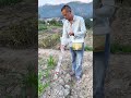 DIY Planter for Precision Seeding or Fertilizing