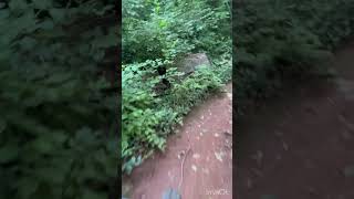 South Knoxville #mtb #trek #knoxville #singletrack #hardtail