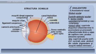 chirurgie oculară refacerea vederii