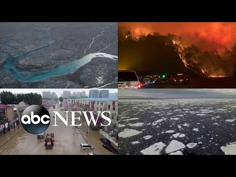 UN climate report warns of âcode red for humanityâ 