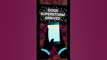Dogs super storm arrived from blum officially go and catch dogs in drop game #blum #crypto #bitcoin