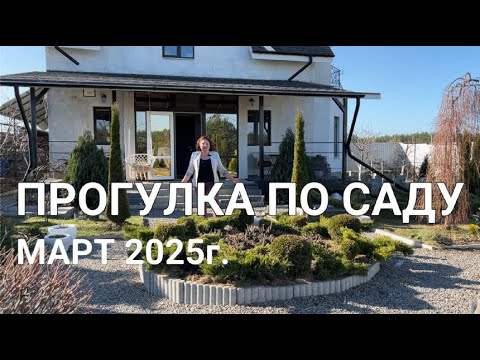 ПРОГУЛКА ПО САДУ Март 2025г: как перезимовали розы и рододендроны, вопросы по обрезке роз