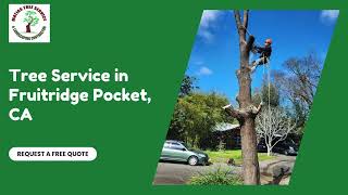 Tree Service in Fruitridge Pocket CA Matias tree service and landscape contractor