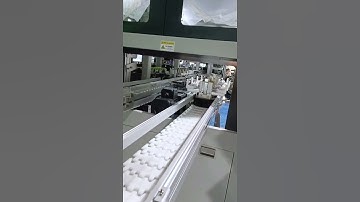 Flexible chain conveyor for Automation industry