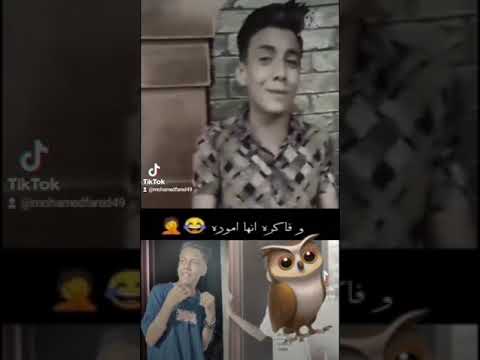يوسف بندق غوري ابت من حياتي دانتي بومه