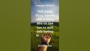 Mỗi Hành Động Bảo Vệ Môi Trường Là Điều Đáng Trân Trọng! #racthainhua #onhiemnhua