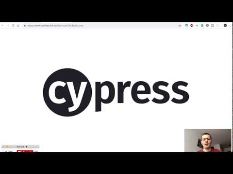 Cypress.io Parallelisation and lost network connection - how Fallback Mode in Knapsack Pro works?