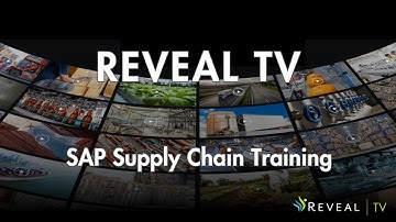 Master SAP: Stop Wasting 65% of Its Potential!