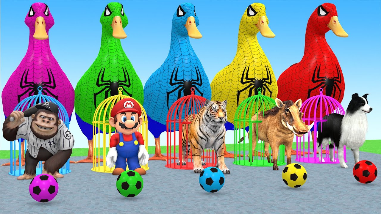 Long Slide Game With Cow Elephant Gorilla Hippopotamus Tiger 3d Animal Game Funny 3d Animals