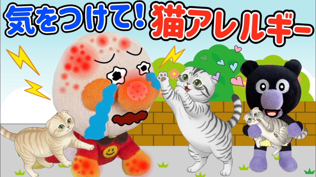 気をつけて猫アレルギー！赤ちゃんアンパンマンが大好きなネコでアレルギーになっちゃった！可愛いネコに触る時は大人と一緒にね⭐️動物アレルギーに気をつけよう！ AnpanmanAnimation⭐️