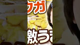ショウガが強烈でウマい「菊タローちゃんこ」が冬のオススメらしい……