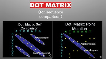 Dot Matrix for sequence comparison| Explained| Bioinformatics