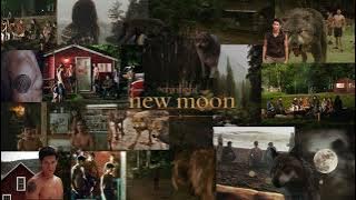 𝑵𝒆𝒘 𝑴𝒐𝒐𝒏 𝑨𝒎𝒃𝒊𝒆𝒏𝒄𝒆 | 𝑻𝒉𝒆𝒓𝒆 𝒂𝒓𝒆 𝒘𝒆𝒓𝒆𝒘𝒐𝒍𝒗𝒆𝒔 𝒊𝒏 𝑭𝒐𝒓𝒌𝒔 | 𝑨𝒎𝒃𝒊𝒆𝒏𝒄𝒆 𝒂𝒏𝒅 𝑷𝒍𝒂𝒚𝒍𝒊𝒔𝒕