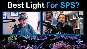 Jake Adams, Best Light For SPS? Rappin' With ReefBum Sound Bite