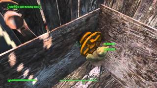 FO4 Elevator test